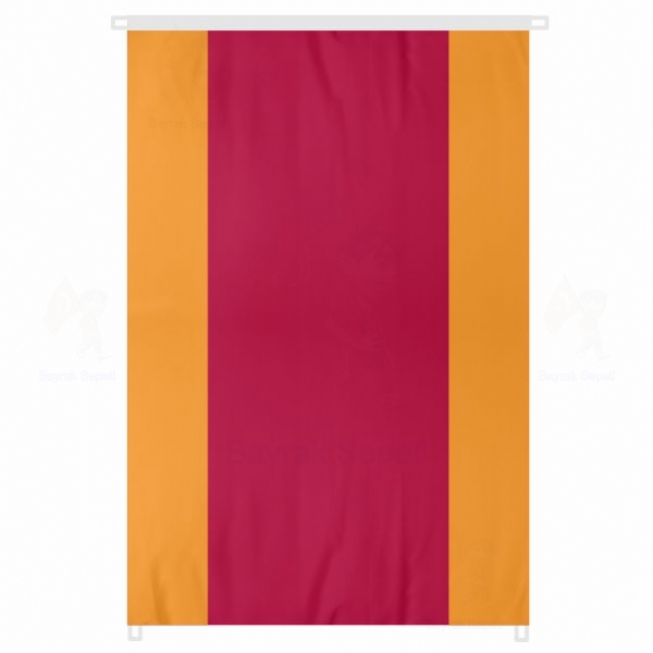 AS Roma Bayra�� Sat���