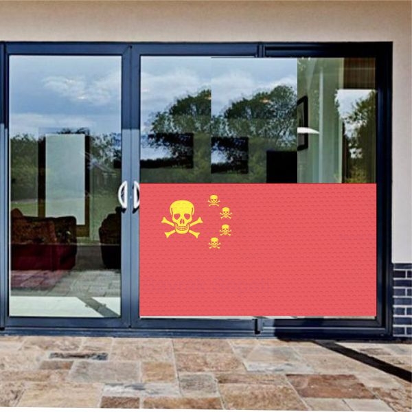 Chinese Pirate One Way Vision
